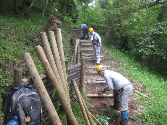 桜坂下段の園路階段追加