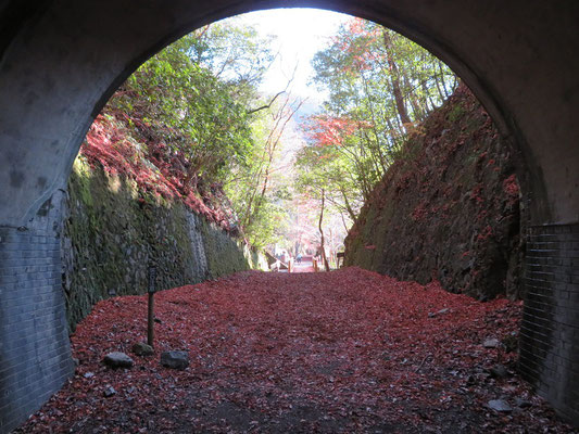 長尾山第2トンネル出口（アフター）景観が改善