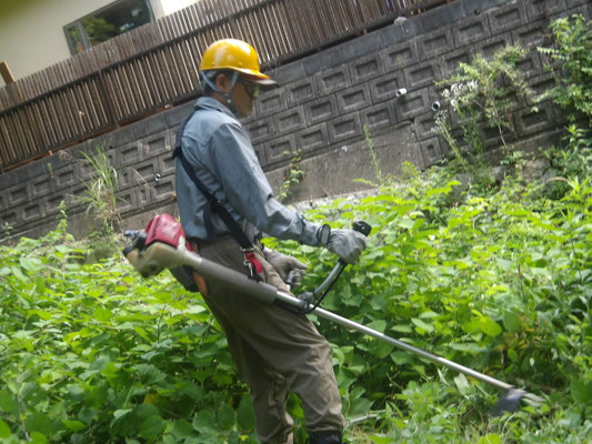 県宝谷平で繁茂した雑草刈り取り