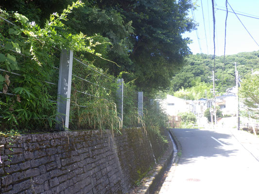 北側道沿いの作業前