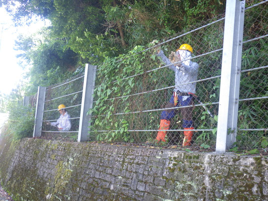 北側道沿いの作業中