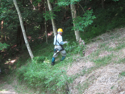 桜坂上段斜面の急斜面上部分で滑り落ちないよう、際を回避しながら草刈