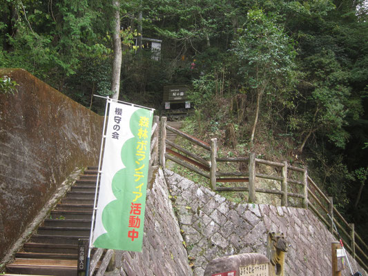 2024.10.02桜の園③入口階段付近の斜面の伐採し通行が改善