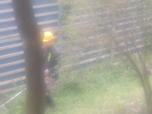 陽光広場下側斜面で草刈