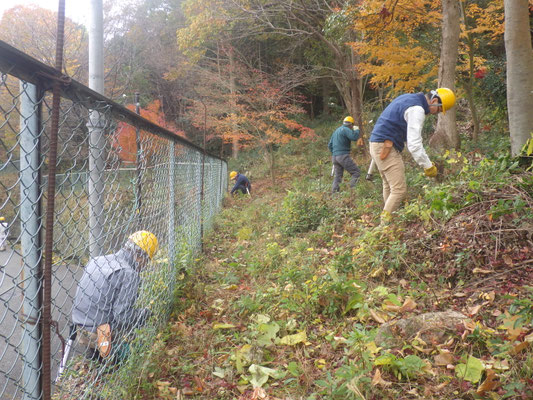 フェンス沿いの草刈り