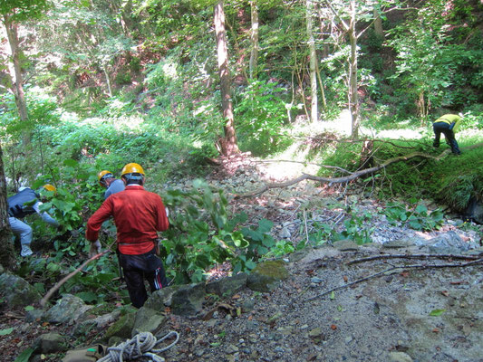 2025.08.31さくらの園①エントランス広場キササゲ倒木処理1