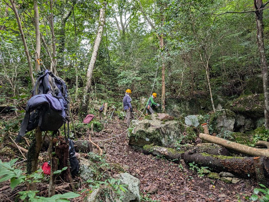 城ケ丘広場での常緑樹伐採②