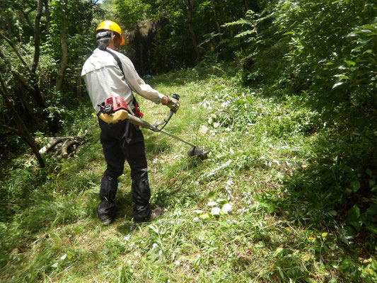 西山堰堤路中央部の草等刈り取り