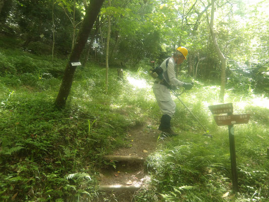 大峰道開始点付近の草刈り