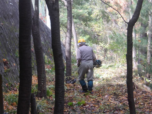 宝塚西高校グランド下平中辺で草刈