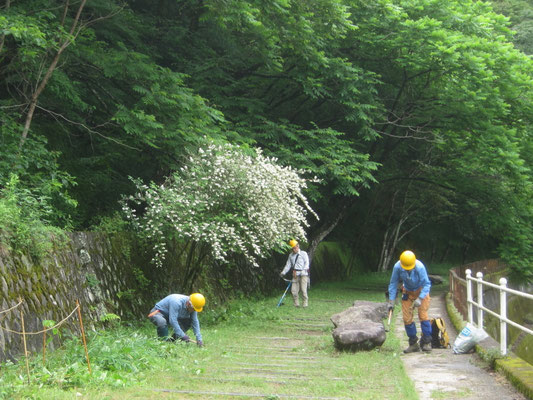 2026.05.28廃線敷草刈り⑥展望広場