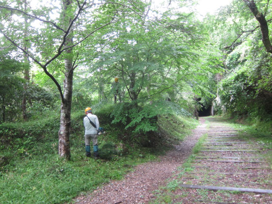 2026.05.28廃線敷草刈り 桜ふれあい広場
