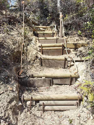 行者山登山路尾根コース上部梯子部階段化
