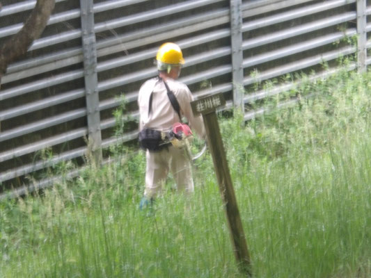 小林南大堰堤上側部で草刈り