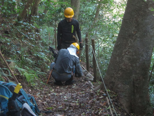 もみじの道の路肩の補修