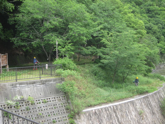 2026.05.28廃線敷草刈り①入口武庫川護岸