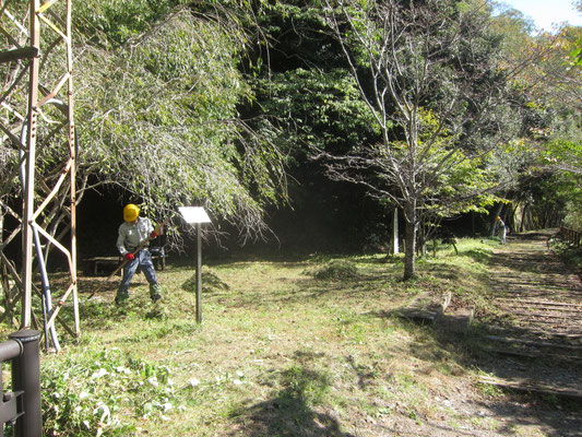 2025.10.23桜の園③廃線敷草刈り リンボク広場