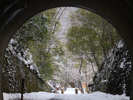 2023.01.25 雪の桜の園①トンネルから広場
