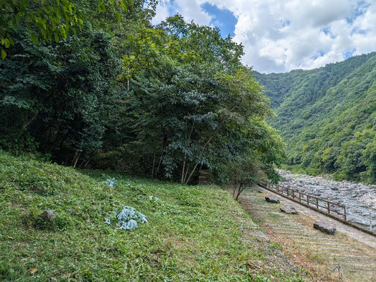 2025. 08.06桜の園④廃線敷展望広場コンクリート壁上の草刈り