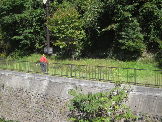 2025.10.23桜の園①廃線敷草刈り入口僧川土手