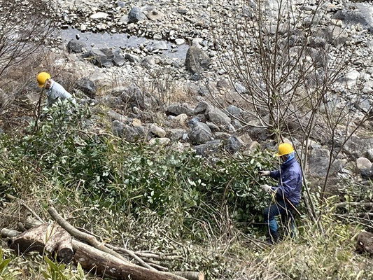 廃線敷入口広場武庫川側急斜面で枝葉処理