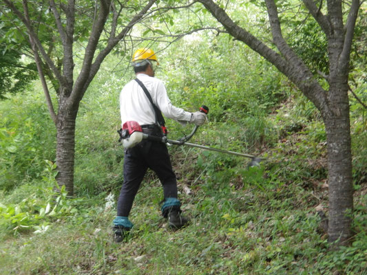 陽光広場下段部の草刈
