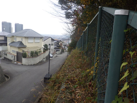 フェンス際の作業後