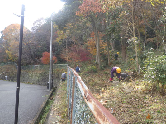 フェンス沿いの草刈り