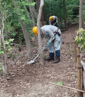 キツネの森腐葉土を撤去し平坦化