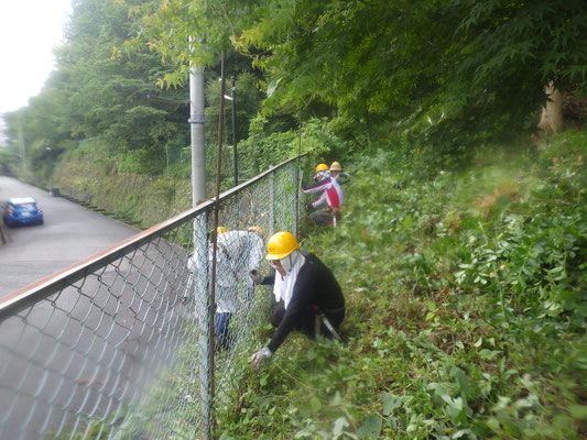 東側道沿いの草刈り