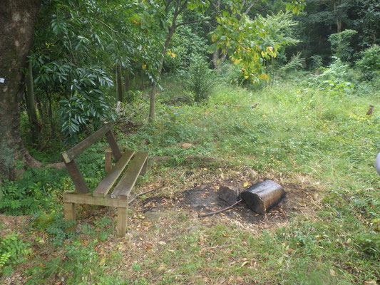 焚火跡の作業前