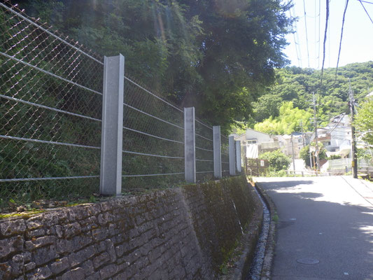 北側道沿いの作業後