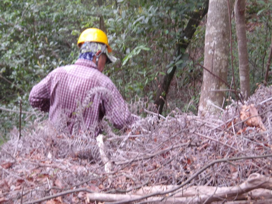 遠見の道での作業　汗びっしょり