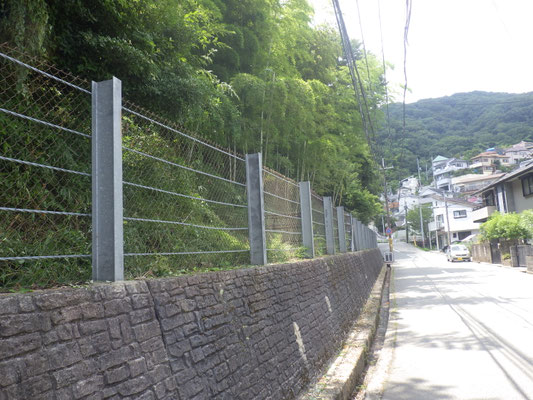 綺麗になったフェンス