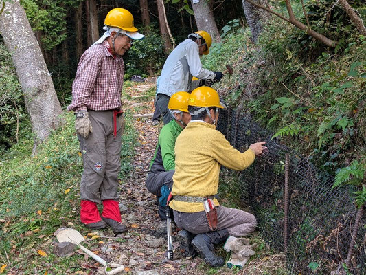 桜坂園路脇のトリカルネットを補修