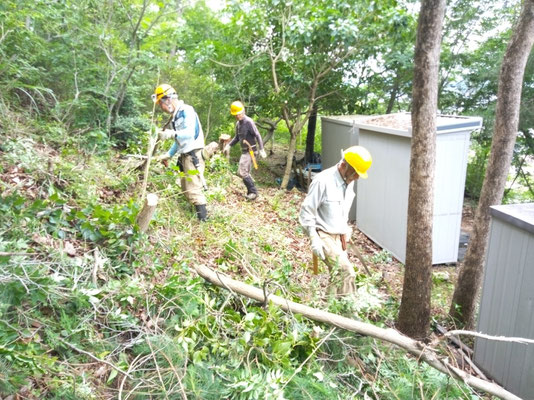 大量の枝切で周辺がスッキリ