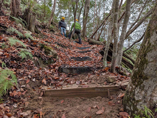 赤松道の欠落した階段更新②