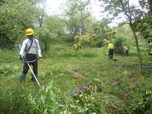 周辺の草刈り