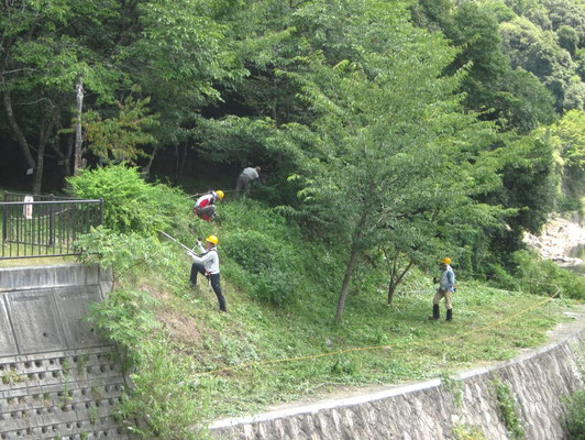 廃線敷入口　武庫川護岸の草を刈取り