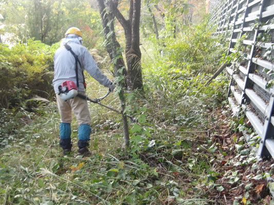 小林南大堰堤下平に繁茂した下草、低灌木を刈り取り