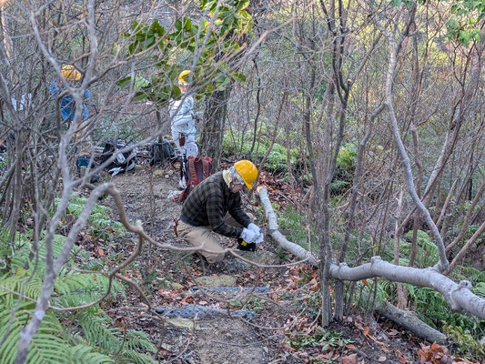 伐採後は路肩補修に活用