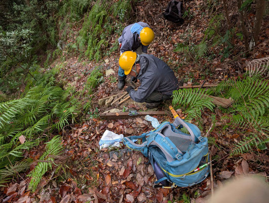 赤松道の欠落した階段更新①