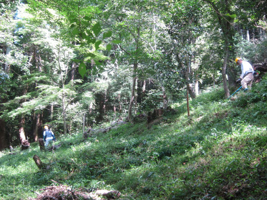 桜坂下段　刈払い機で草刈