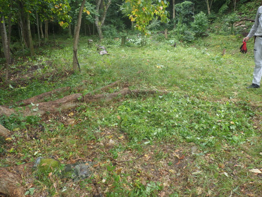 焚火跡の作業後