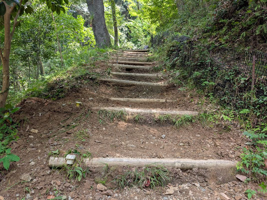 桜坂中段　階段追加