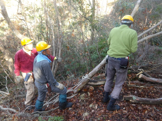 遠見の道園路両脇灌木の伐採 ①