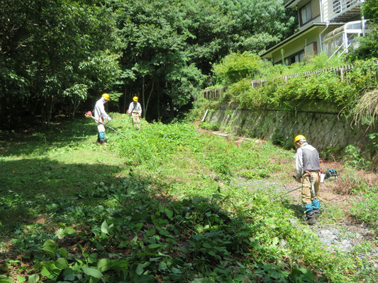 県宝谷平白瀬川支流川床などを刈払い機で下草、笹、灌木を刈り取り