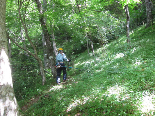 木漏れ日の丘で草刈り