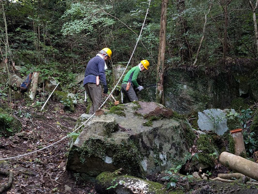 城ケ丘広場での常緑樹伐採①