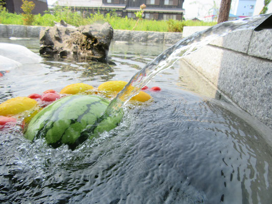 水 - ラシーヌホーム針江【公式サイト】 琵琶湖の湖畔、大自然で泊まる、食べる、遊ぶ。豊かな水と共に過ごすハリエライフ。